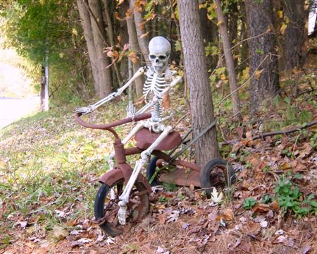 Eat before you're hungry